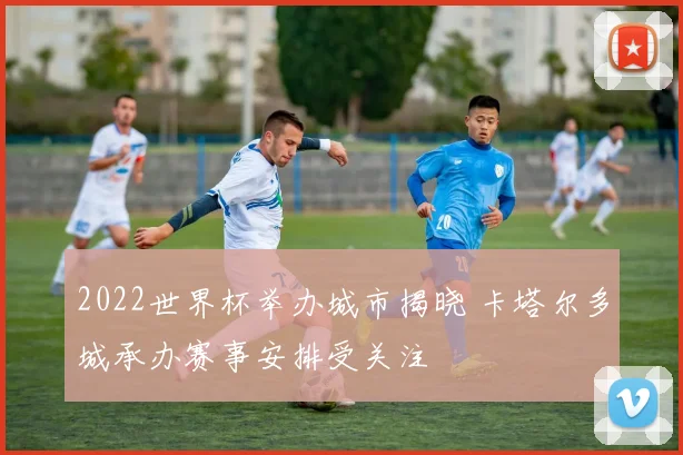 2022世界杯举办城市揭晓 卡塔尔多城承办赛事安排受关注