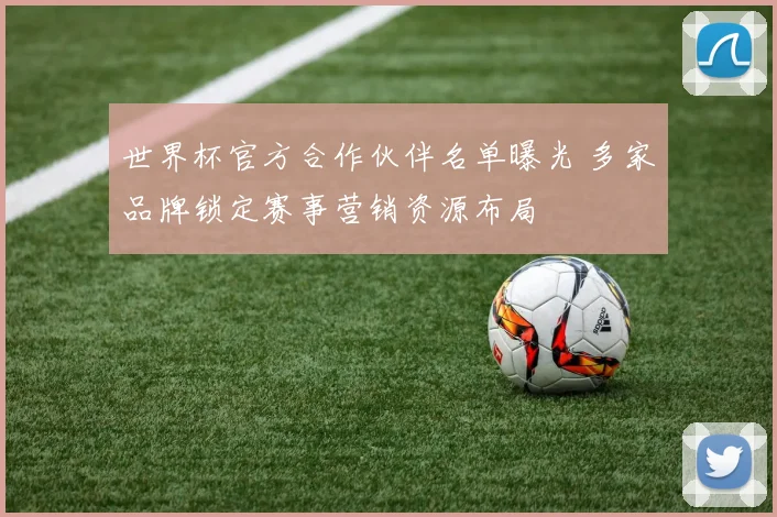 世界杯官方合作伙伴名单曝光 多家品牌锁定赛事营销资源布局